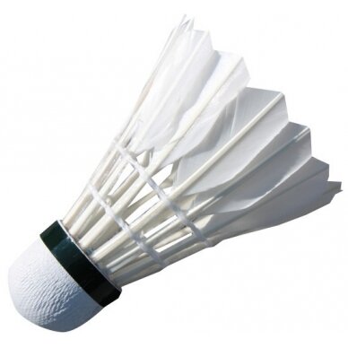 Badmintono plunksniukai Spartan Feather (12vnt.) 1