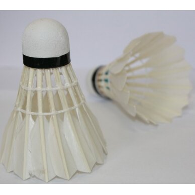 Badmintono plunksniukai Spartan Feather (12vnt.) 2