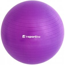 Gimnastikos kamuolys + pompa inSPORTline Top Ball 65cm