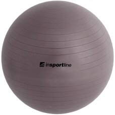 Gimnastikos kamuolys + pompa inSPORTline Top Ball 65cm