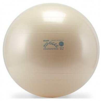 Gimnastikos kamuolys Gymins Fit-Ball 75, baltas