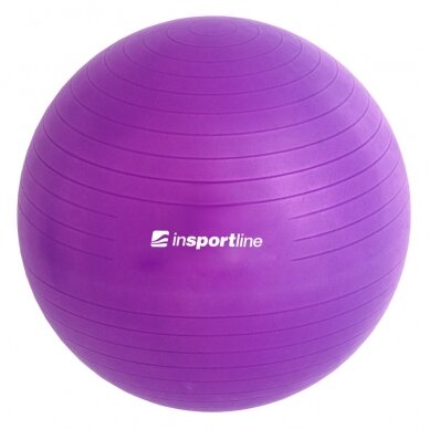 Gimnastikos kamuolys + pompa inSPORTline Top Ball 85cm - Red 2