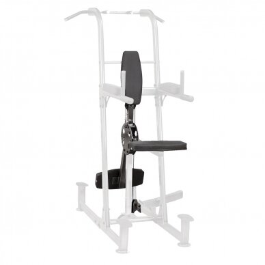 Weight-Assisted Dip and Pull-Up Station Fusion